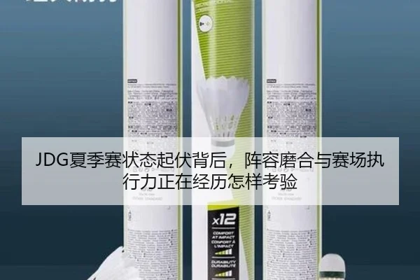 JDG夏季赛状态起伏背后，阵容磨合与赛场执行力正在经历怎样考验